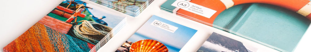Brochures and Rack Cards